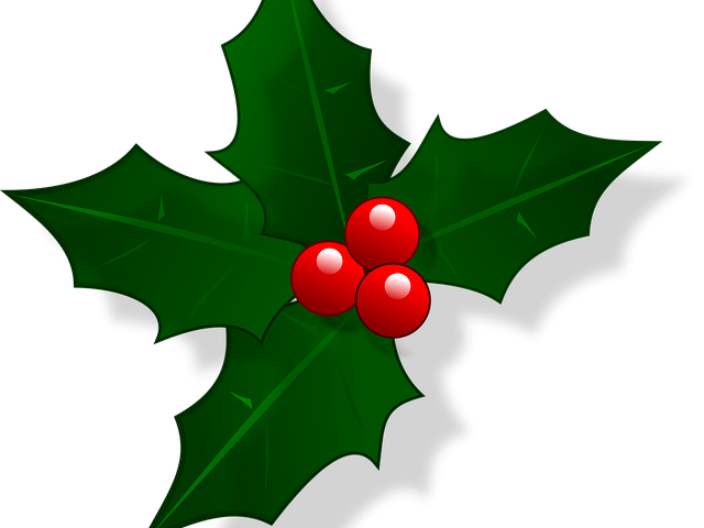 Festive Opening Times